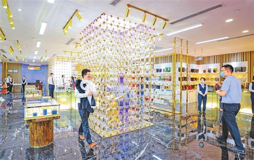 前海深港商贸物流小镇正式运营