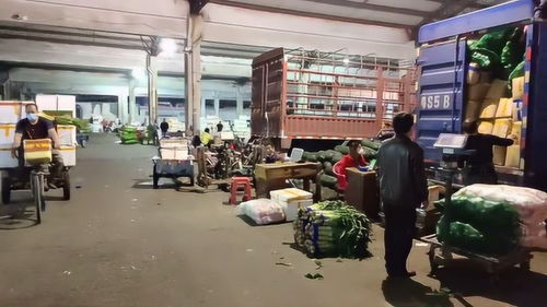 东莞特色商贸市场之12,莞城细村市场,市区蔬菜交易集散地