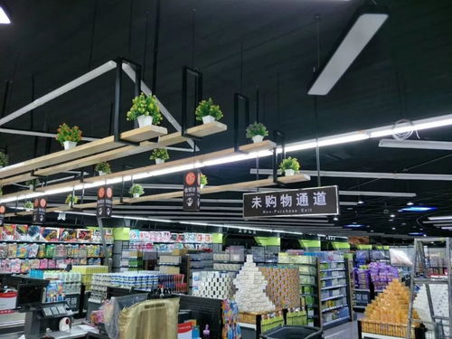 商贸再添新地标,曲堤商贸城盛大开业