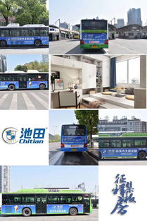 忠县净离子健康板品牌排名