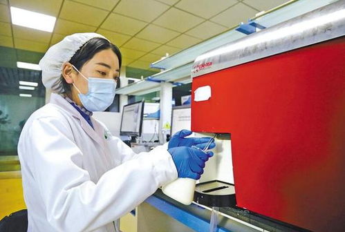 拉萨市 服务保障做到位 欢欢喜喜过新年